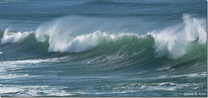 2020 3 25 Bk Sh Surf & Eve Lighting 025