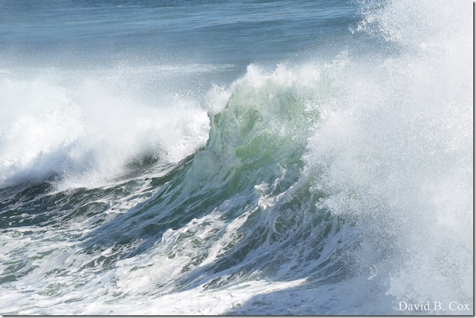 2020 3 25 Bk Sh Surf & Eve Lighting 029