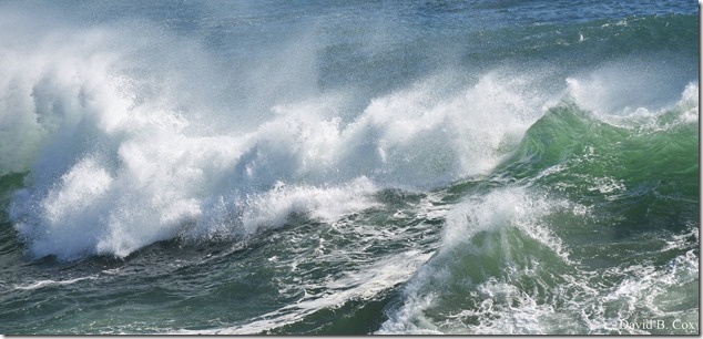 2020 3 25 Bk Sh Surf & Eve Lighting 031