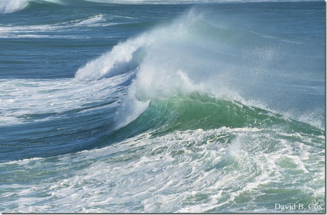 2020 3 25 Bk Sh Surf & Eve Lighting 045