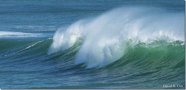 2020 3 25 Bk Sh Surf & Eve Lighting 047