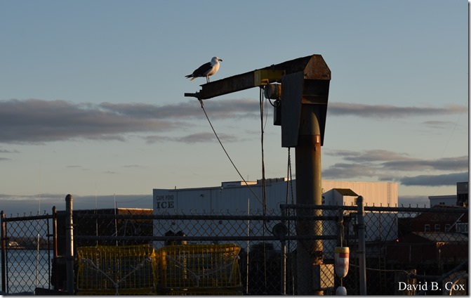 2020 3 25 Bk Sh Surf & Eve Lighting 124