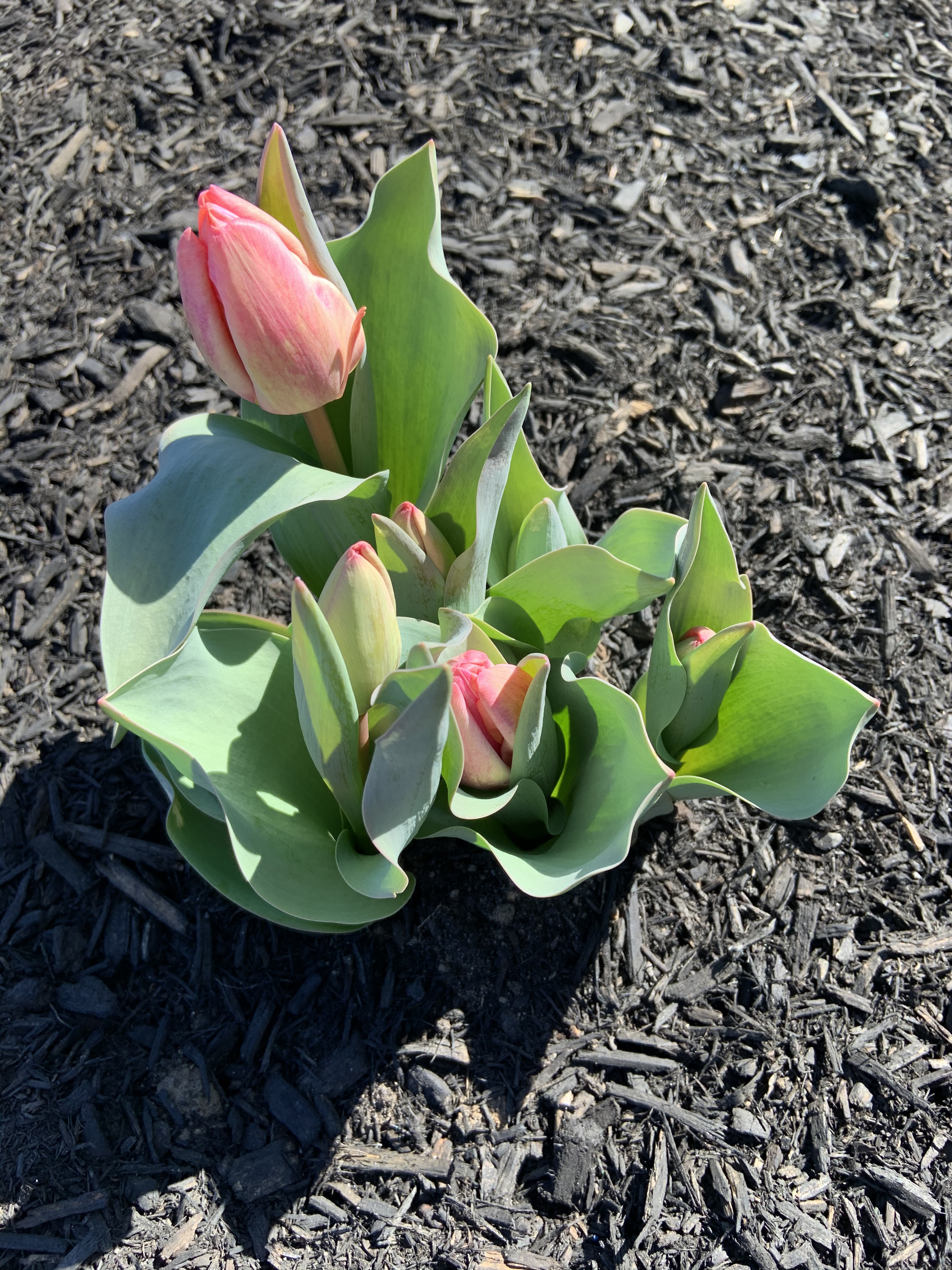 9BB94A9B-D894-45B7-ADB2-D33685891435