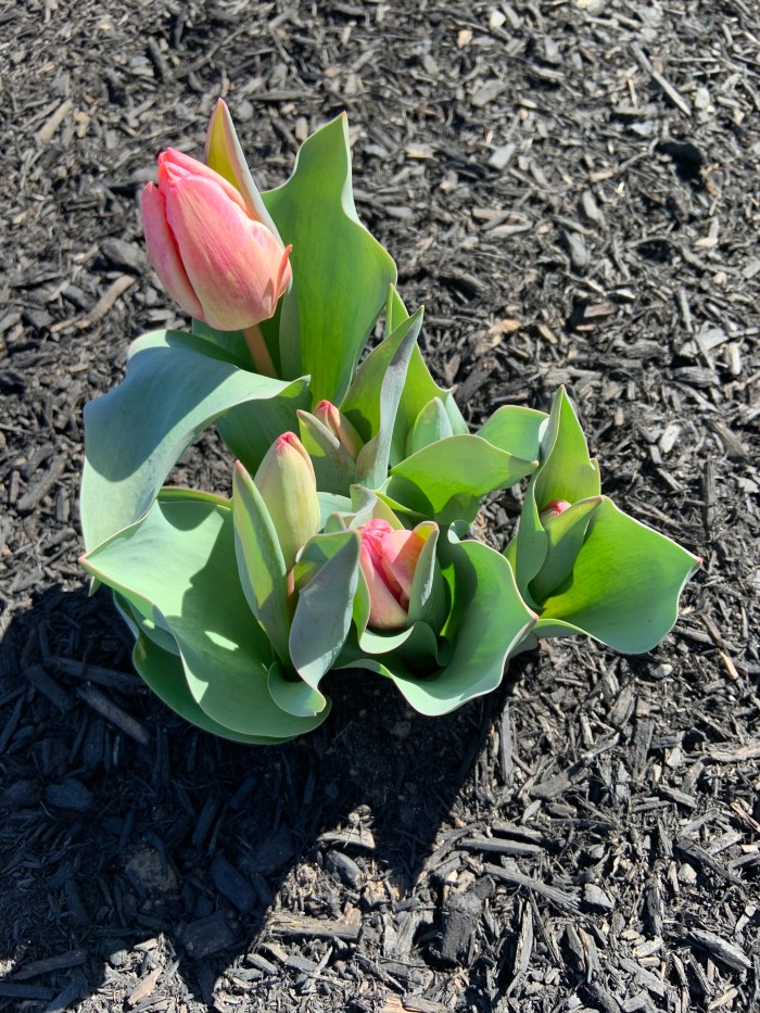 9BB94A9B-D894-45B7-ADB2-D33685891435