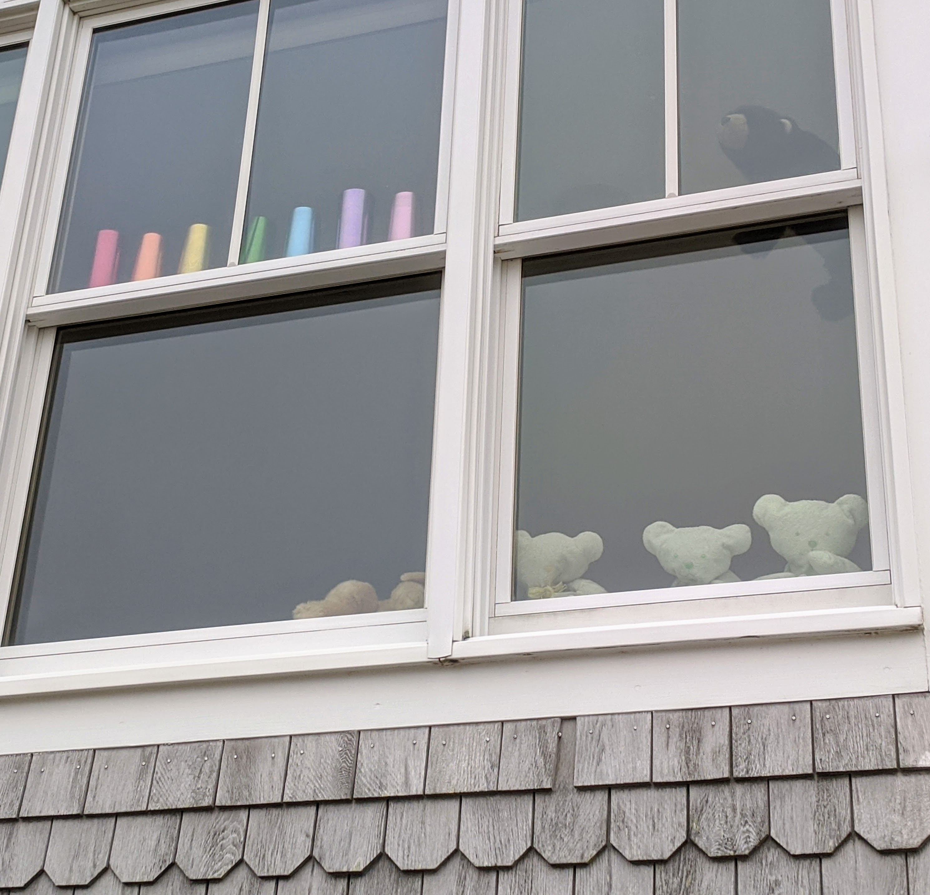 bear and rainbow hunt for the little ones_ social distancing_covid-19_20200328_Gloucester, Mass. photograph ©c ryan