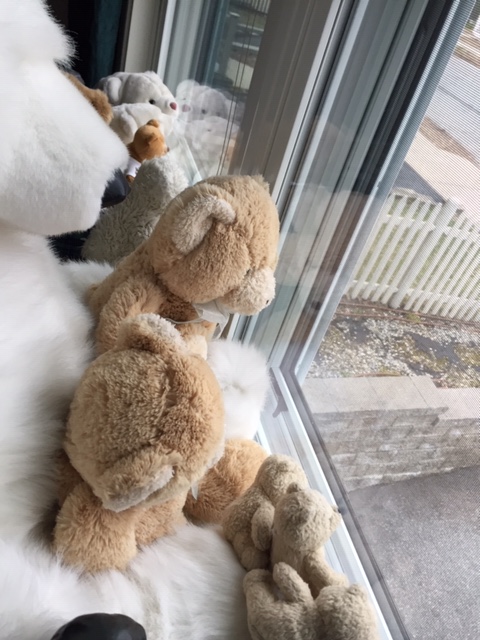 Bears joining in _©k