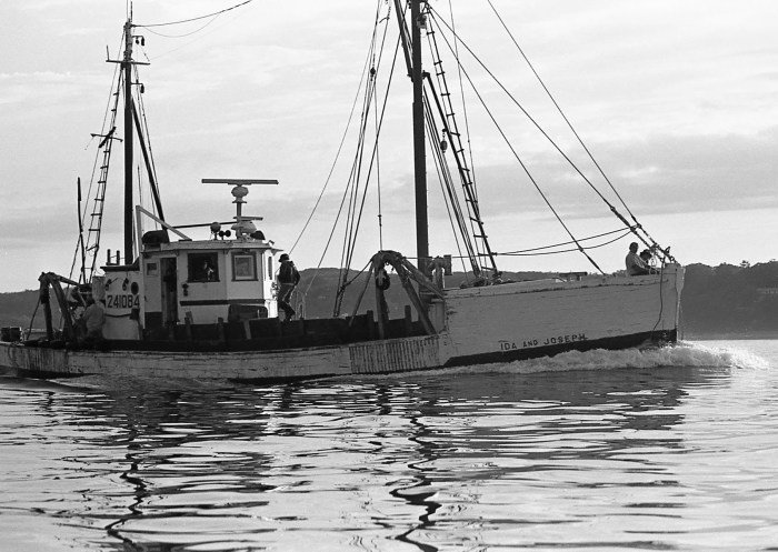 FullSizeRender 19.JPG