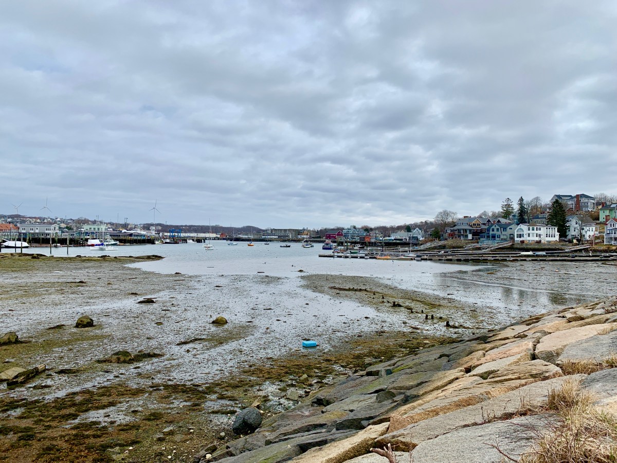 Low Tide Good Morning Gloucester