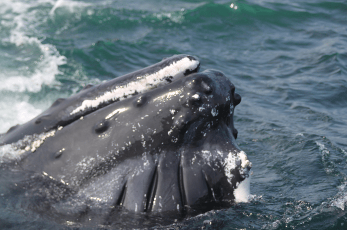 Screen Shot 2019-10-14 at 10.53.37 PM