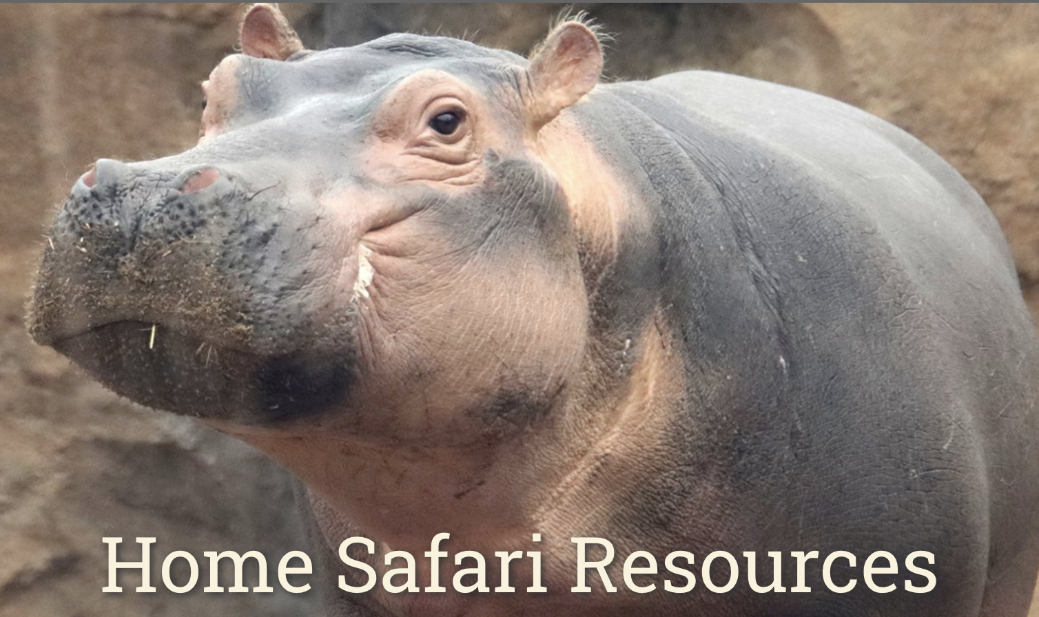 Screen Shot 2020-03-17 at 8.17.29 PM