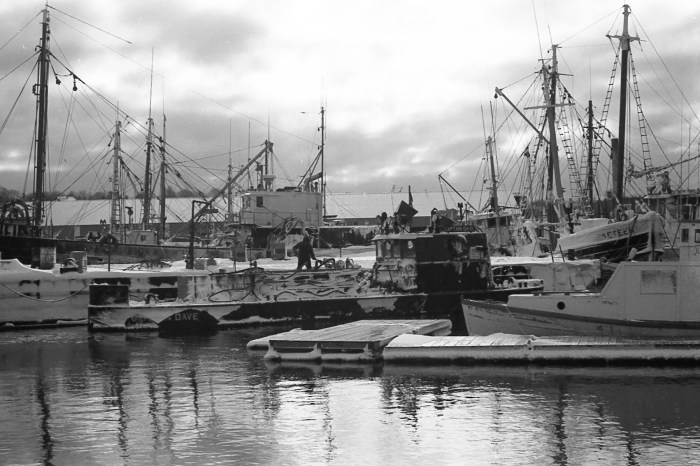 027802 capt dave after storm.JPG