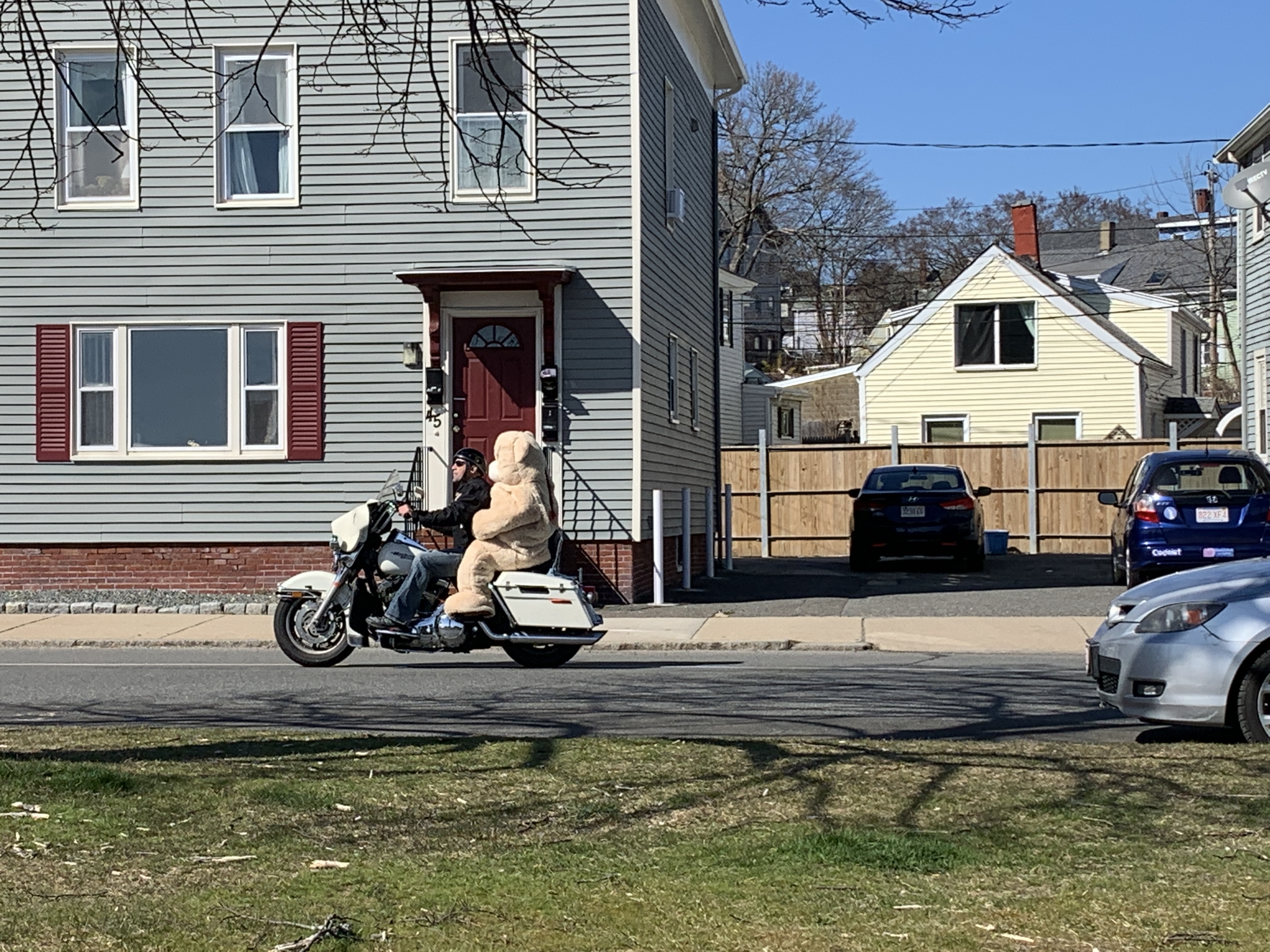 06DA4B8E-E037-4C03-B866-8FA5B19653E5