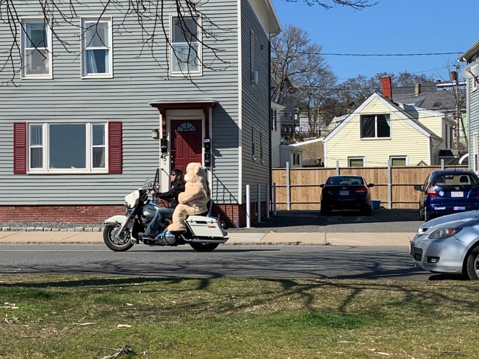 06DA4B8E-E037-4C03-B866-8FA5B19653E5