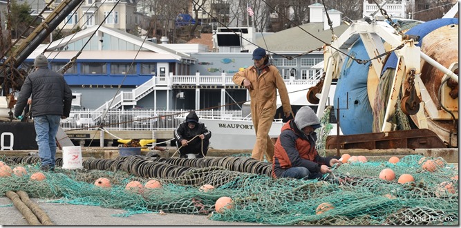 2020 3 14 A Day Wandering 183