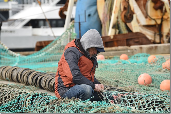 2020 3 14 A Day Wandering 188