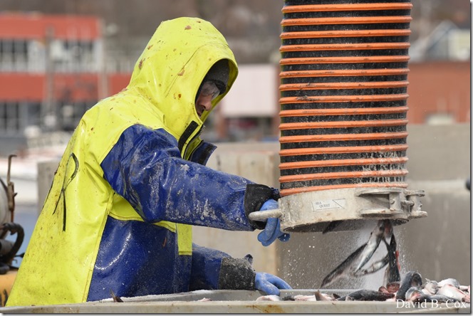 2020 3 14 A Day Wandering 198