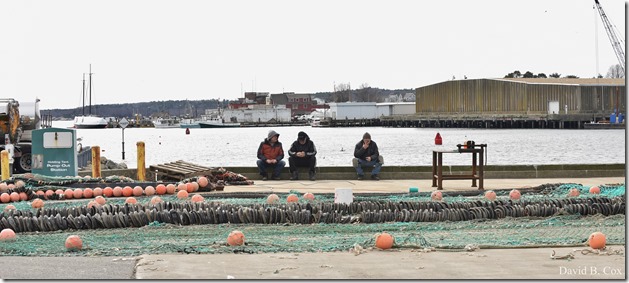 2020 3 14 A Day Wandering 310