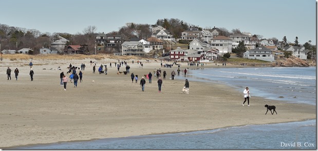 2020 3 14 A Day Wandering 320