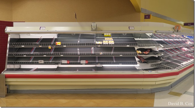 2020 4 19 Very Misc Several Days 005