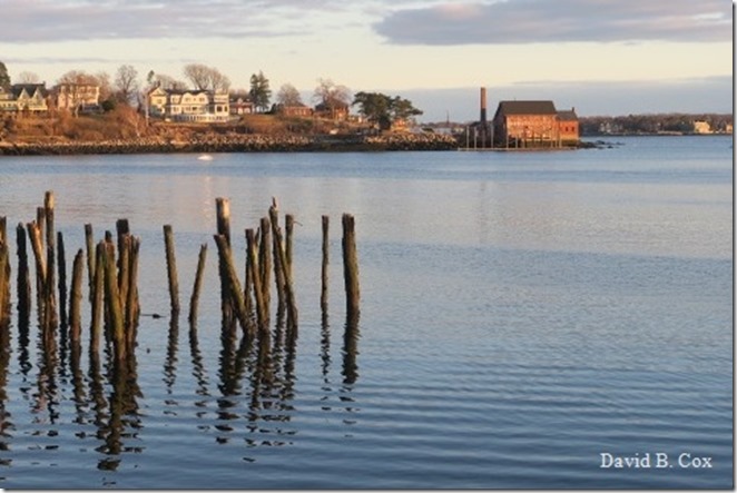 2020 4 19 Very Misc Several Days 011