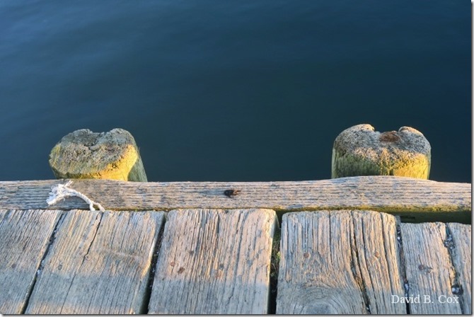 2020 4 19 Very Misc Several Days 012