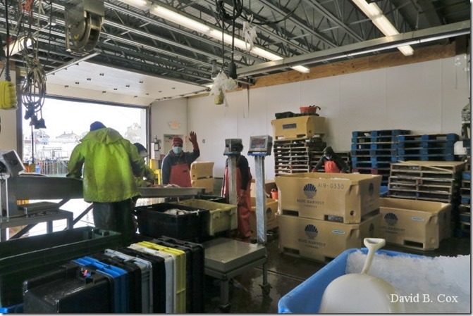 2020 4 19 Very Misc Several Days 030