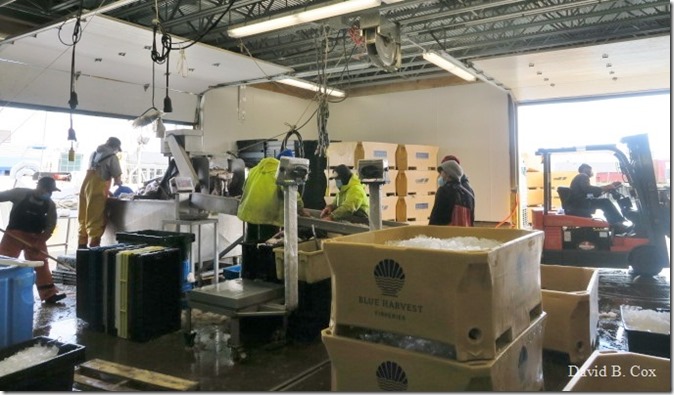 2020 4 19 Very Misc Several Days 033