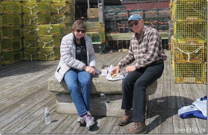 2020 4 19 Very Misc Several Days 042