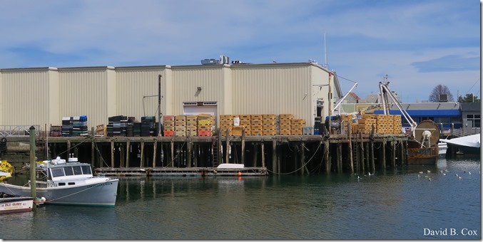 2020 4 19 Very Misc Several Days 046