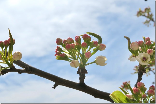 2020 4 19 Very Misc Several Days 060