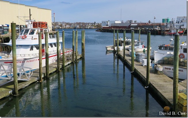 2020 4 19 Very Misc Several Days 061