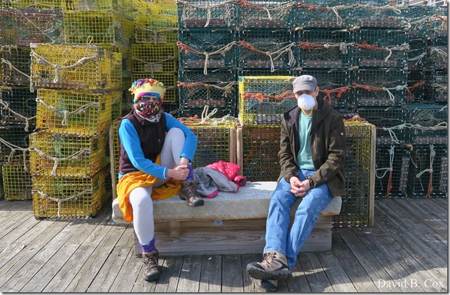 2020 4 19 Very Misc Several Days 062