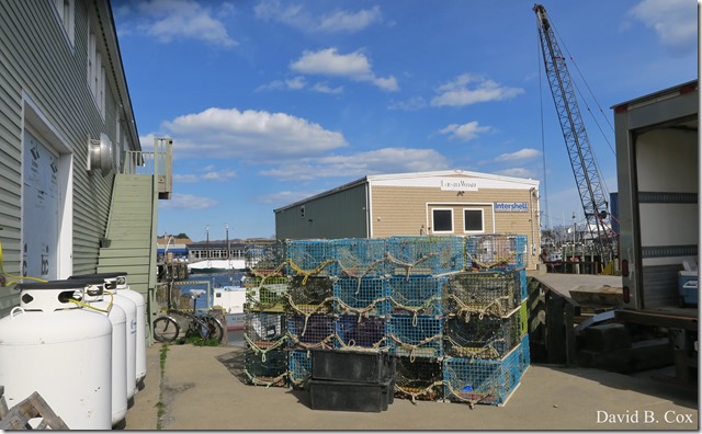 2020 4 19 Very Misc Several Days 063