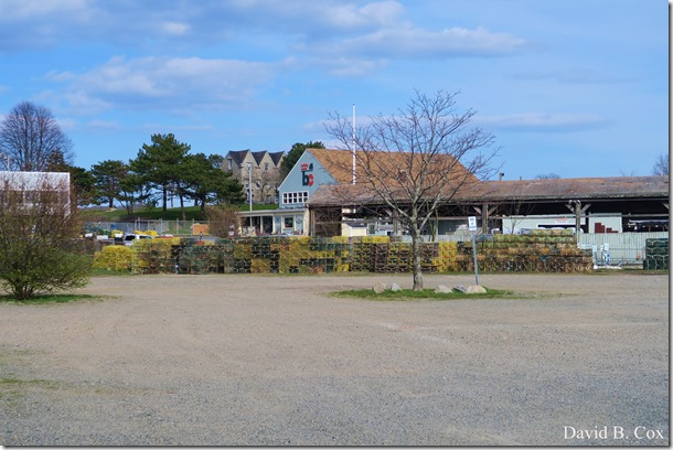 2020 4 19 Very Misc Several Days 075