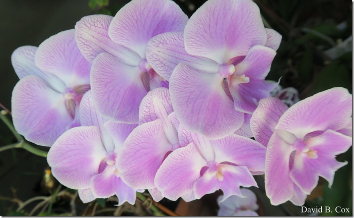 2020 4 19 Very Misc Several Days 081