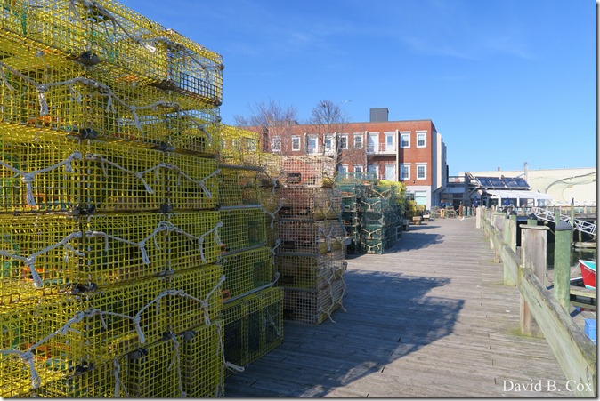 2020 4 19 Very Misc Several Days 087