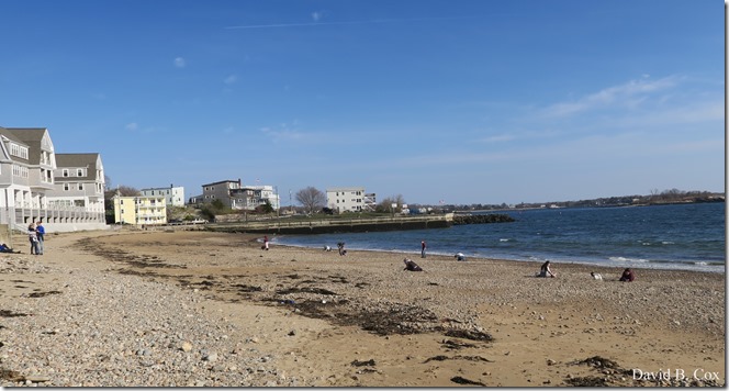 2020 4 19 Very Misc Several Days 091