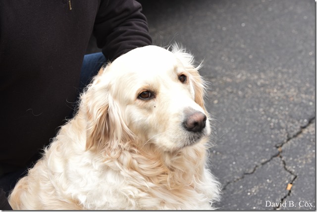 2020 4 4 Misc & Big Surf Gray Day 006