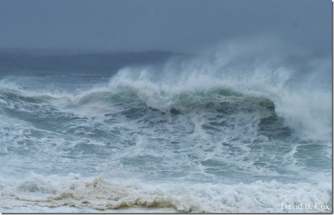 2020 4 4 Misc & Big Surf Gray Day 018