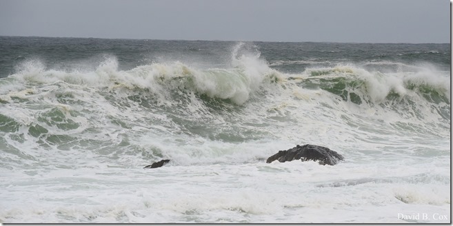 2020 4 4 Misc & Big Surf Gray Day 045