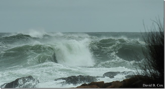 2020 4 4 Misc & Big Surf Gray Day 051