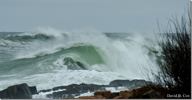 2020 4 4 Misc & Big Surf Gray Day 053