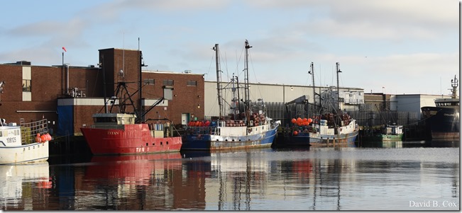 2020 4 4 Misc & Big Surf Gray Day 070