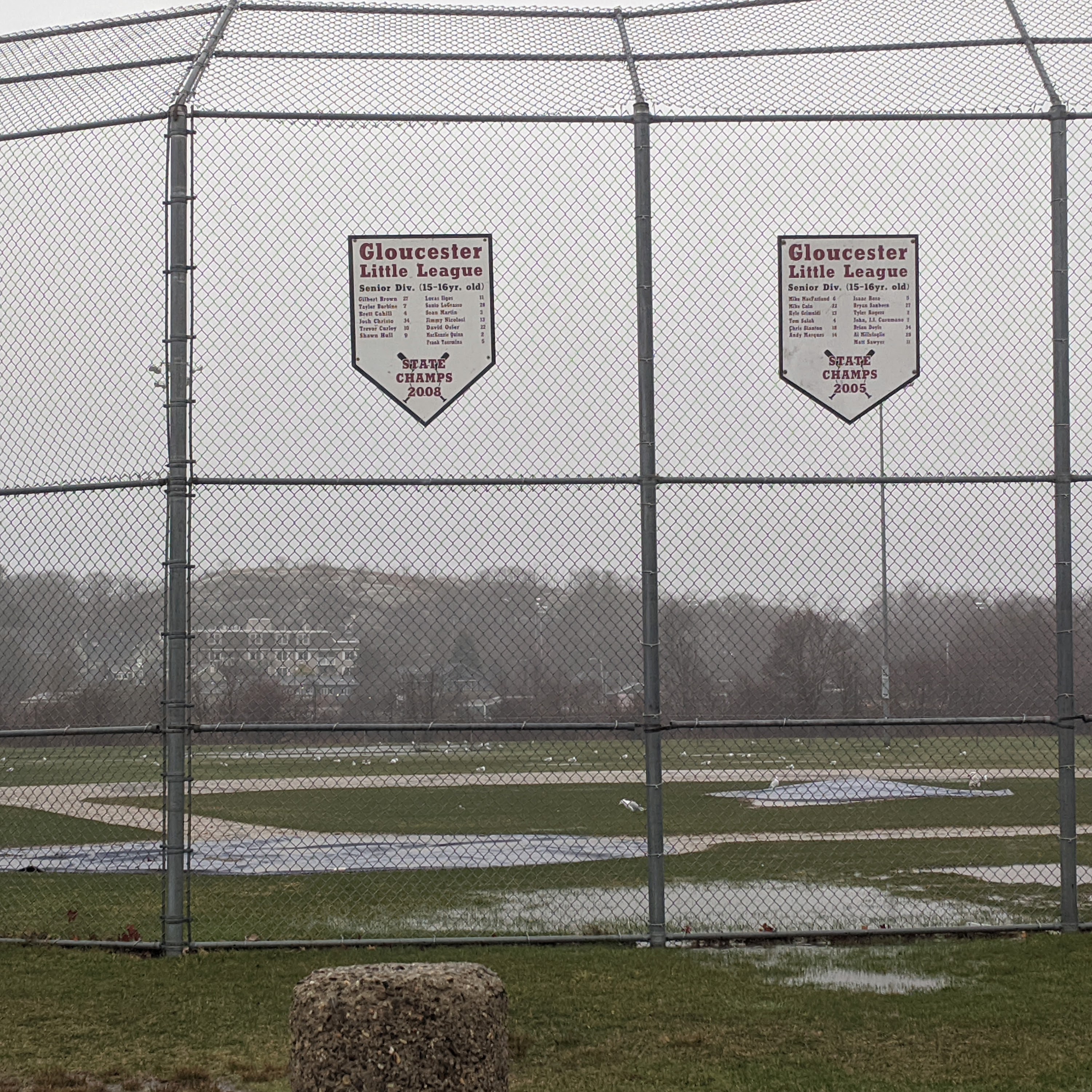 Let's Play ball_seagulls at O'Maley school Gloucester Mass._20200403_©c ryan