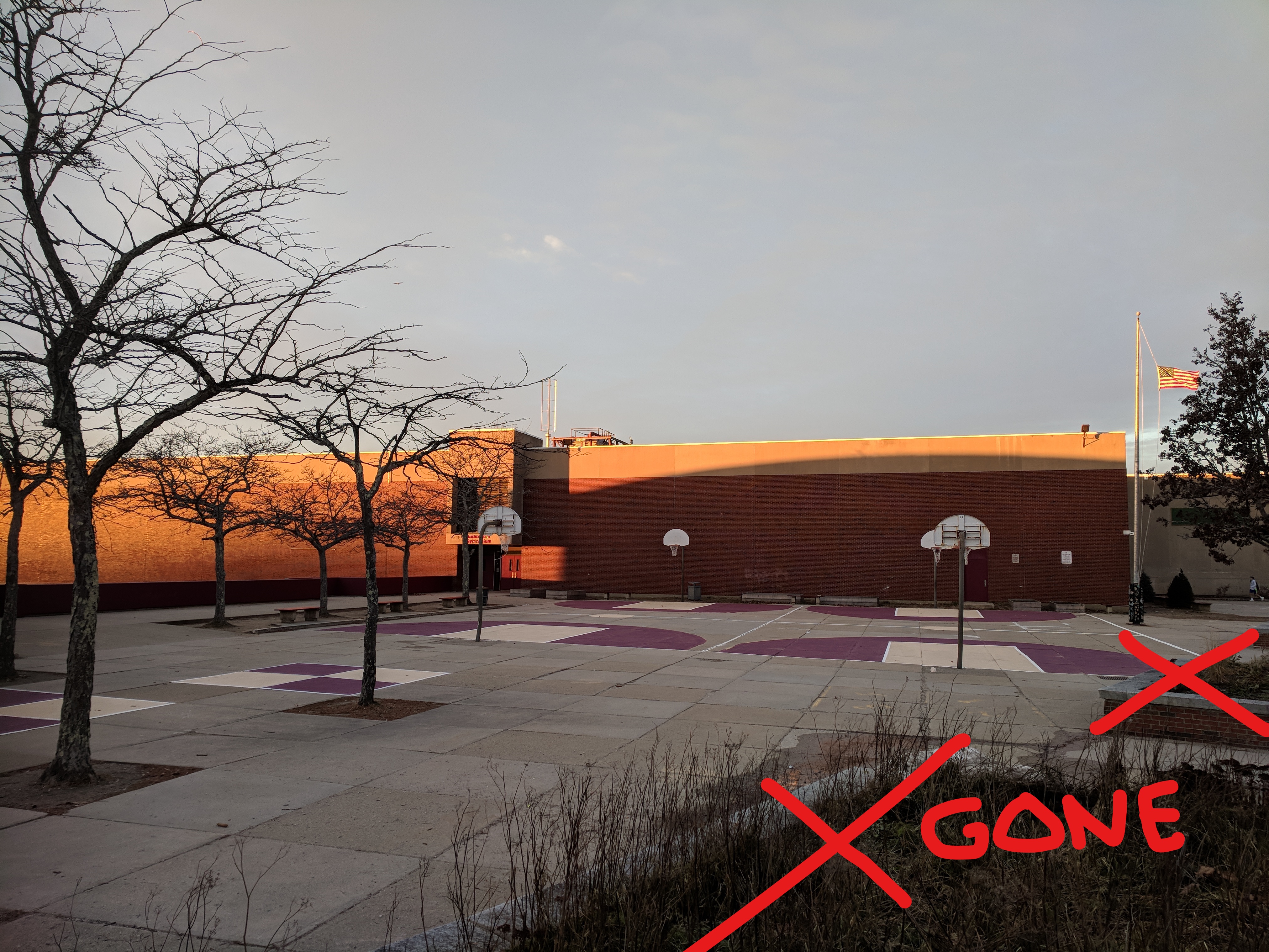 raised beds removed_new courtyard design_photo 20181129_ ©c ryan