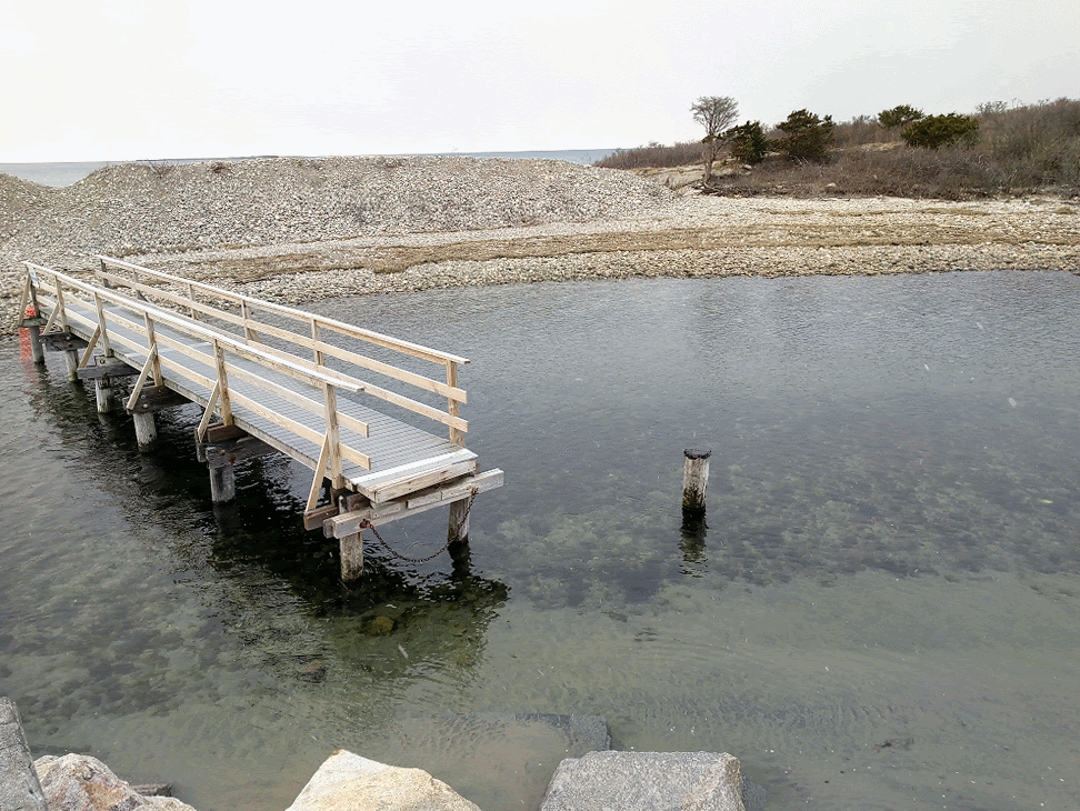 snowing! April 16, 2020 Long Beach walkway