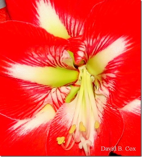 2020 4 29 Misc Cannon Golf Course 024