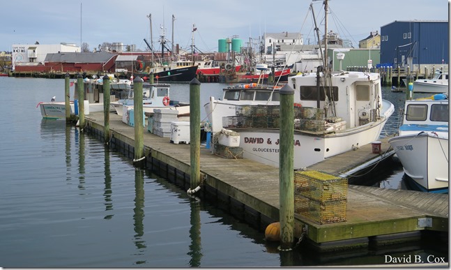 2020 4 29 Misc Cannon Golf Course 029