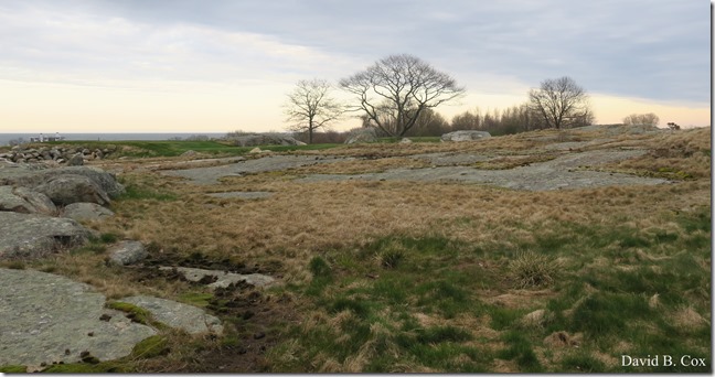 2020 4 29 Misc Cannon Golf Course 036