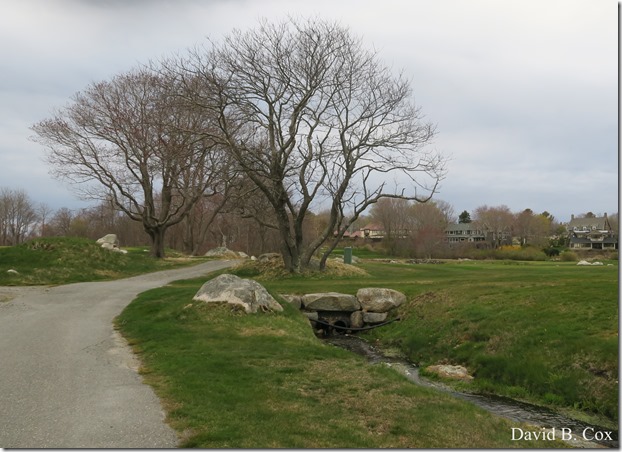 2020 4 29 Misc Cannon Golf Course 038